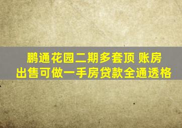 鹏通花园二期多套顶 账房出售可做一手房贷款全通透格